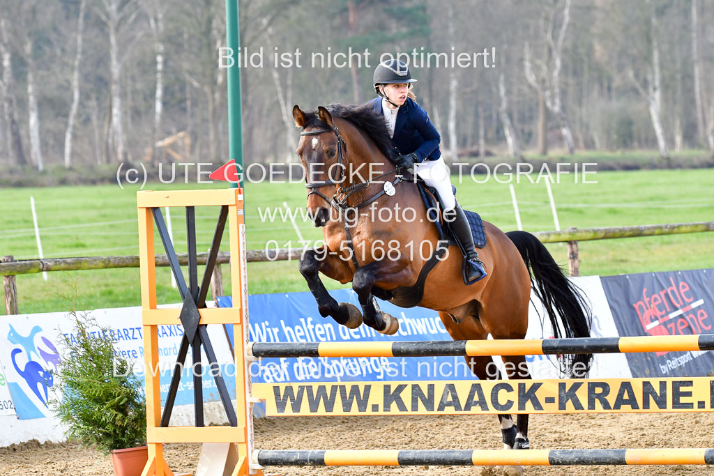 Reitsportzentrum Bremervörde 9.4.21 | 090421 Springen A1_070