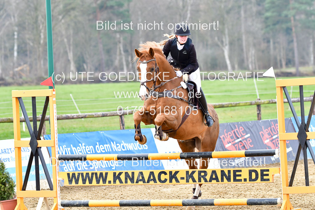 Reitsportzentrum Bremervörde 9.4.21 | 090421 Springen A1_188
