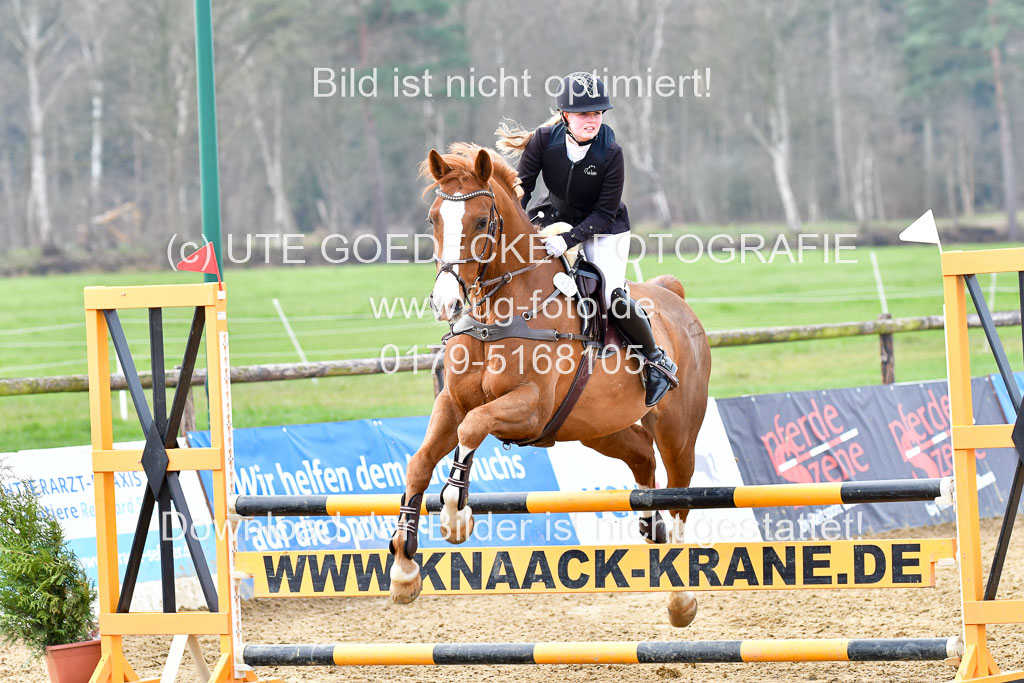 Reitsportzentrum Bremervörde 9.4.21 | 090421 Springen A1_189
