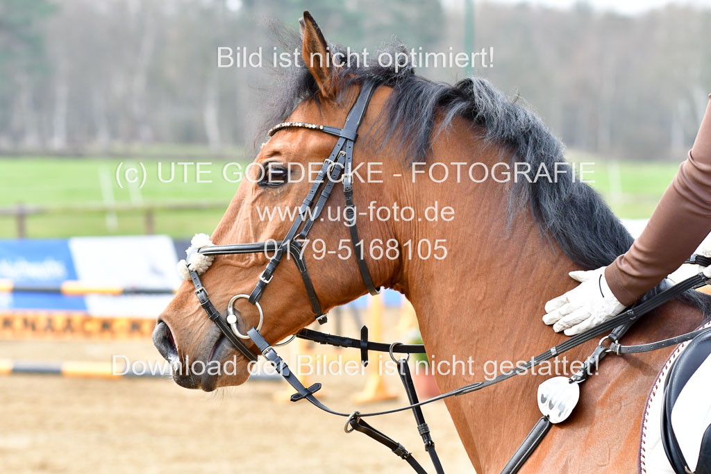 Reitsportzentrum Bremervörde 9.4.21 | 090421 Springen A1_195