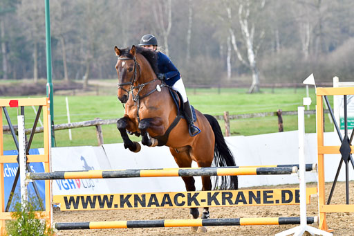 Reitsportzentrum Bremervörde  9.4.21 | 090421 Springen A1_069 