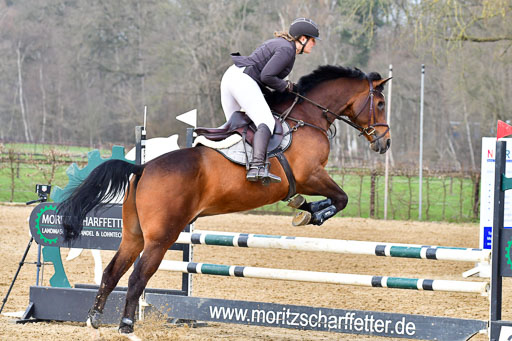 Reitsportzentrum Bremervörde  9.4.21 | 090421 Springen A1_112 