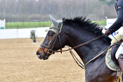 Reitsportzentrum Bremervörde  9.4.21 | 090421 Springen A1_122 