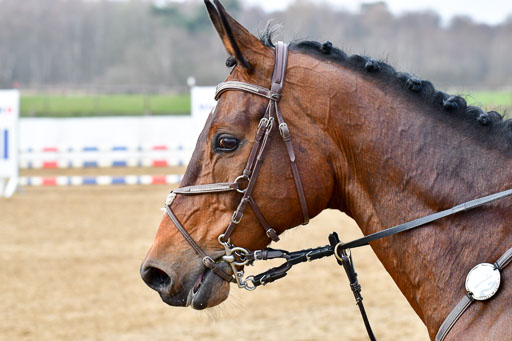 Reitsportzentrum Bremervörde  9.4.21 | 090421 Springen A1_126 