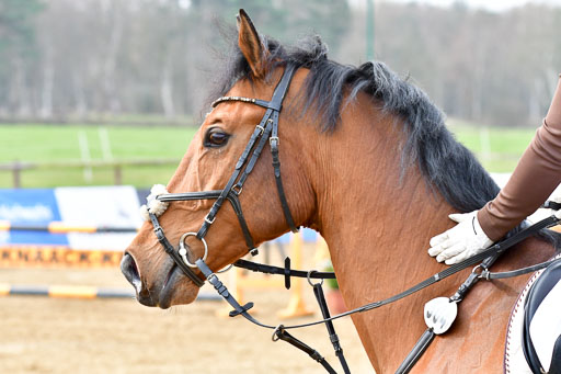 Reitsportzentrum Bremervörde  9.4.21 | 090421 Springen A1_195 