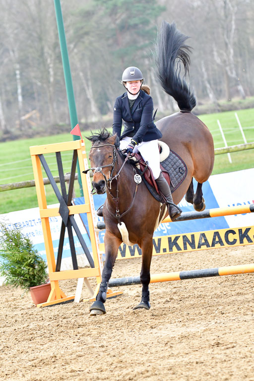 Reitsportzentrum Bremervörde  9.4.21 | 090421 Springen A1_203 