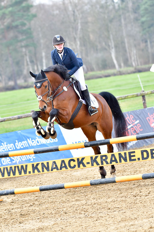 Reitsportzentrum Bremervörde  9.4.21 | 090421 Springen A1_210 