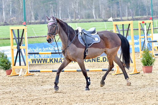 Reitsportzentrum Bremervörde  9.4.21 | 090421 Springen A1_215 