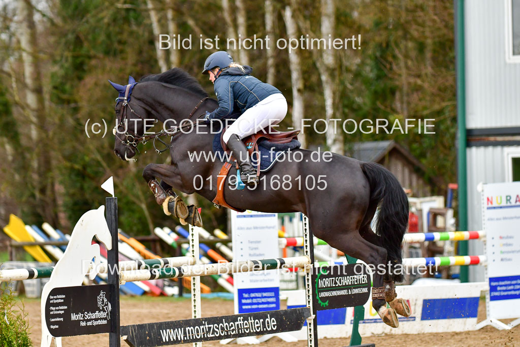 Reitsportzentrum Bremervörde 9.4.21 | 090421 Springen M_147