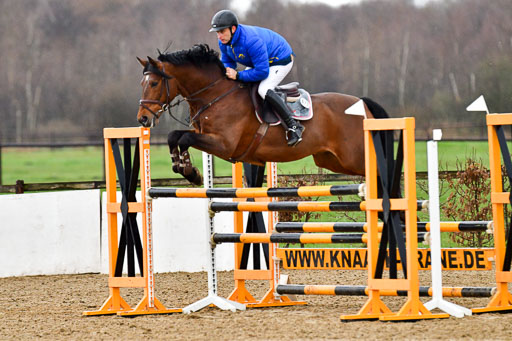 Reitsportzentrum Bremervörde 9.4.21 | 090421 Springen M_003 