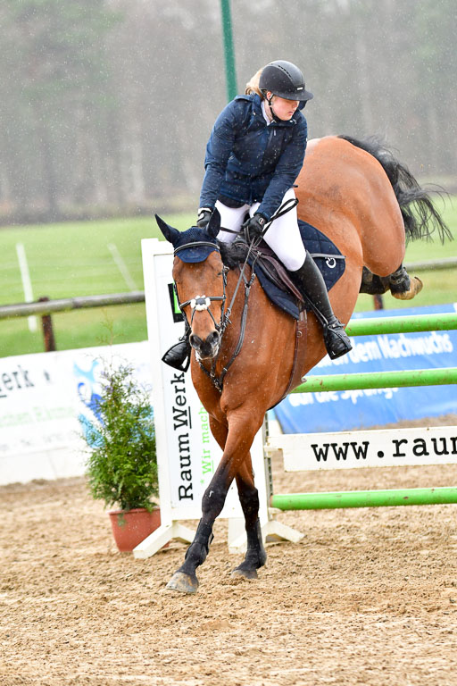 Reitsportzentrum Bremervörde 9.4.21 | 090421 Springen M_058 