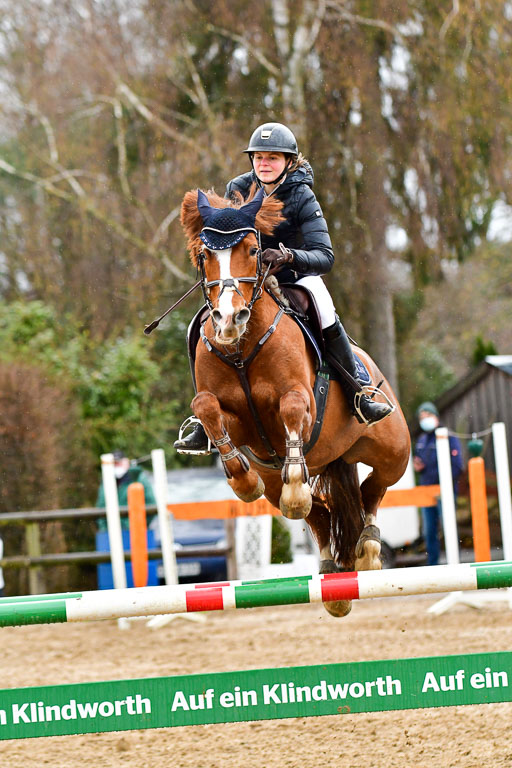 Reitsportzentrum Bremervörde 9.4.21 | 090421 Springen M_096 
