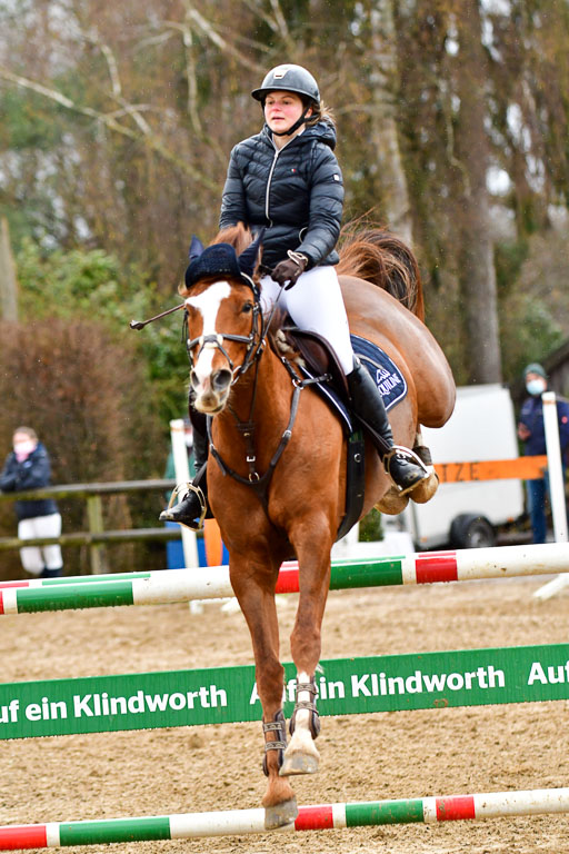 Reitsportzentrum Bremervörde 9.4.21 | 090421 Springen M_099 