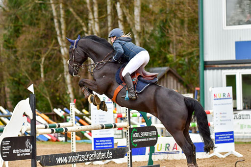 Reitsportzentrum Bremervörde 9.4.21 | 090421 Springen M_146 