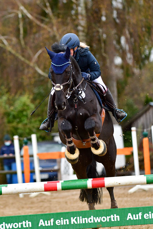 Reitsportzentrum Bremervörde 9.4.21 | 090421 Springen M_148 