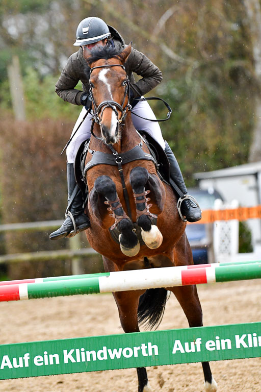Reitsportzentrum Bremervörde 9.4.21 | 090421 Springen M_169 