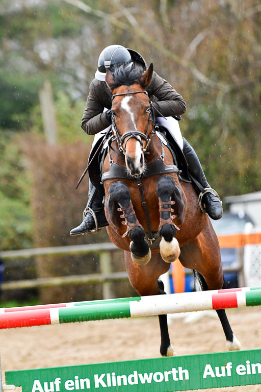 Reitsportzentrum Bremervörde 9.4.21 | 090421 Springen M_170 
