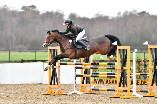 Reitsportzentrum Bremervörde 9.4.21 | 090421 Springen M_175 