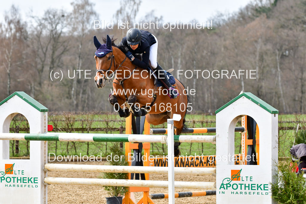 Reitsportzentrum Bremervörde 10.4.21 | 10421 Springen S+_09 