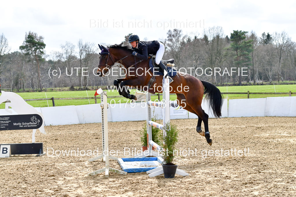 Reitsportzentrum Bremervörde 10.4.21 | 10421 Springen S+_32 