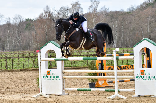 Reitsportzentrum Bremervörde 10.4.21 | 10421 Springen S+_02 