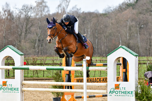 Reitsportzentrum Bremervörde 10.4.21 | 10421 Springen S+_09 