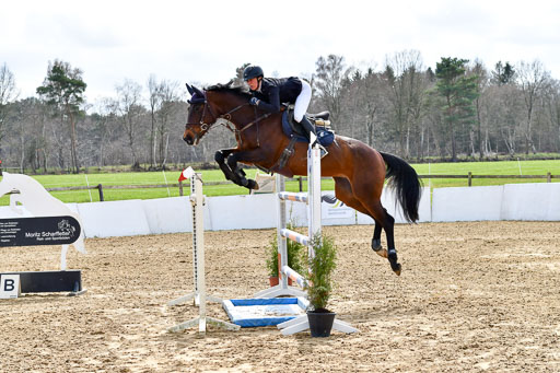 Reitsportzentrum Bremervörde 10.4.21 | 10421 Springen S+_32 