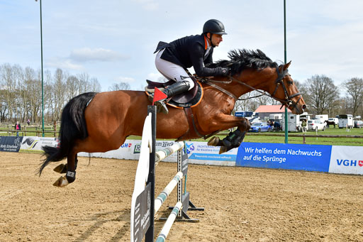 Reitsportzentrum Bremervörde 10.4.21 | 10421 Springen S+_39 