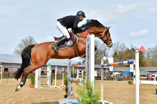 Reitsportzentrum Bremervörde 10.4.21 | 10421 Springen S+_40 