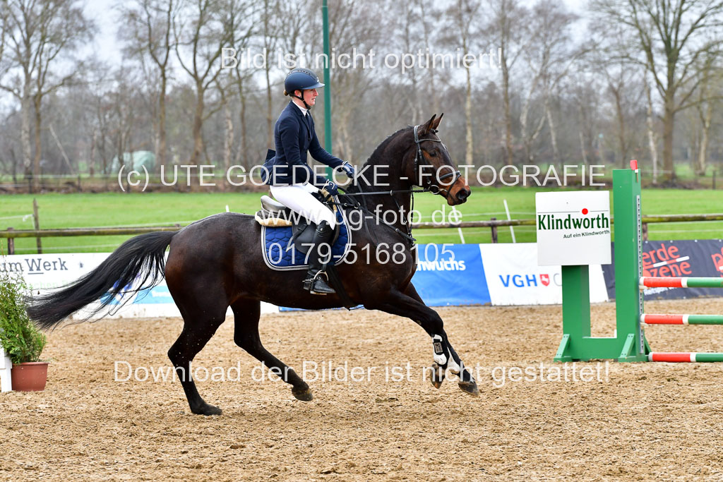 Reitsportzentrum Bremervörde | 070421 Springpferde A+_008
