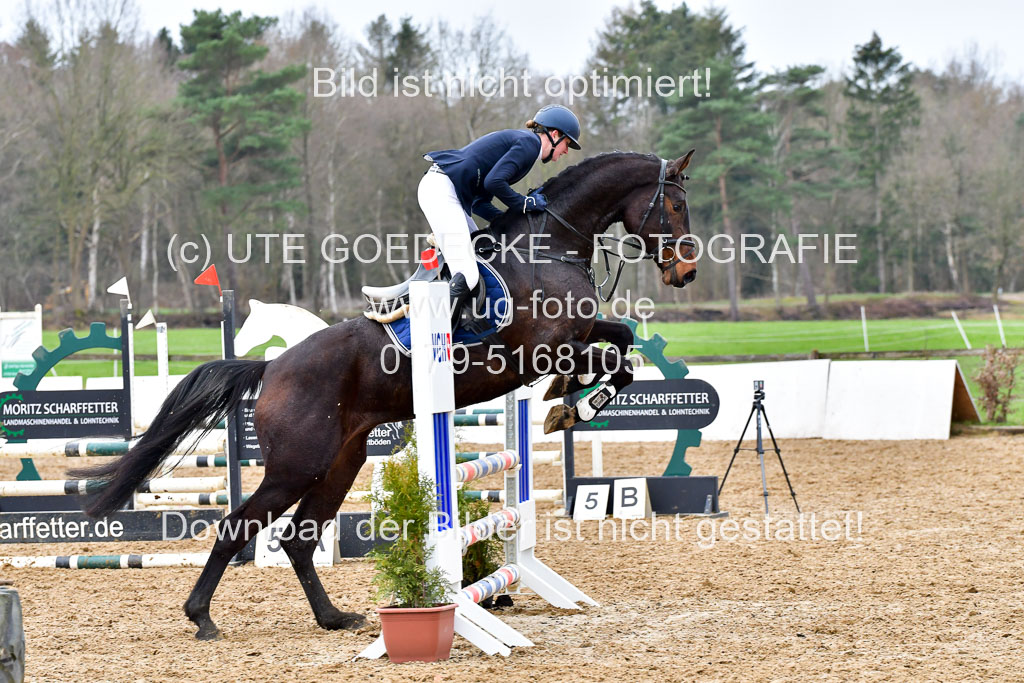 Reitsportzentrum Bremervörde | 070421 Springpferde A+_009