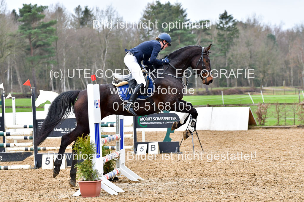 Reitsportzentrum Bremervörde | 070421 Springpferde A+_010