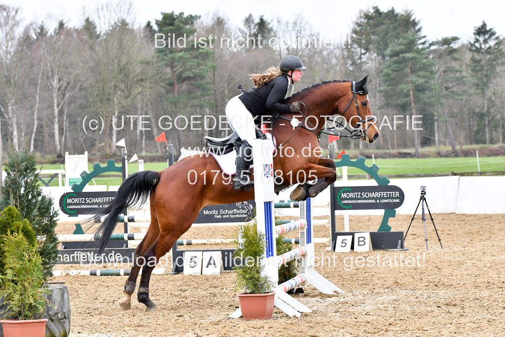 Reitsportzentrum Bremervörde | 070421 Springpferde A+_016 