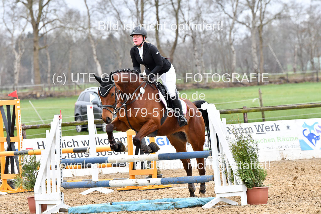 Reitsportzentrum Bremervörde | 070421 Springpferde A+_018 