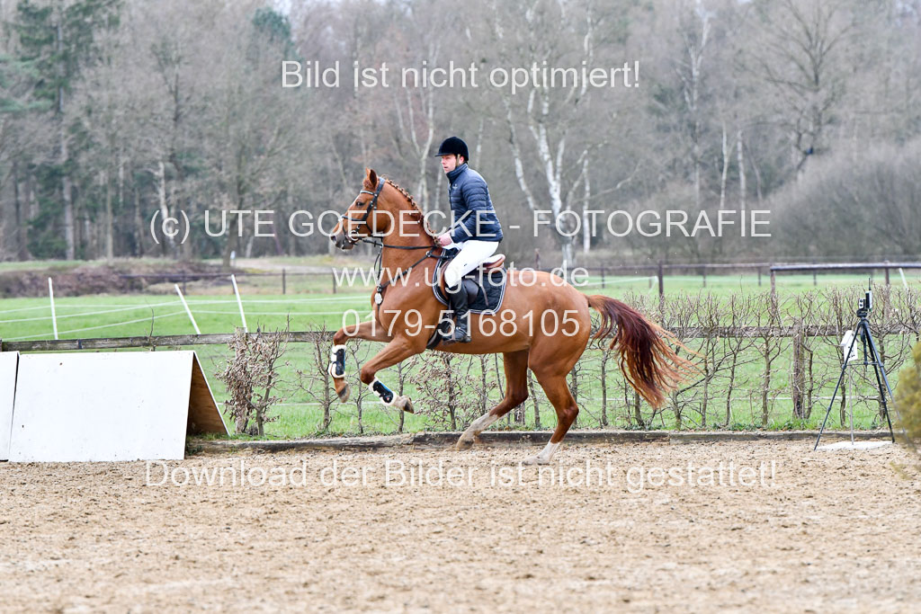 Reitsportzentrum Bremervörde | 070421 Springpferde A+_019 