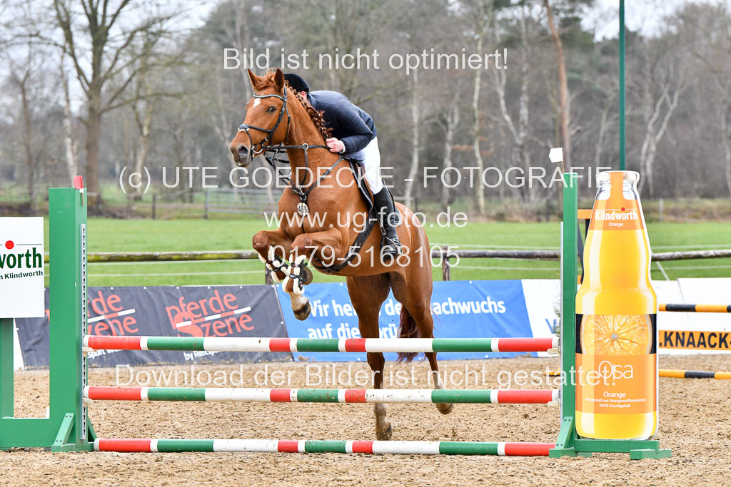 Reitsportzentrum Bremervörde | 070421 Springpferde A+_020 