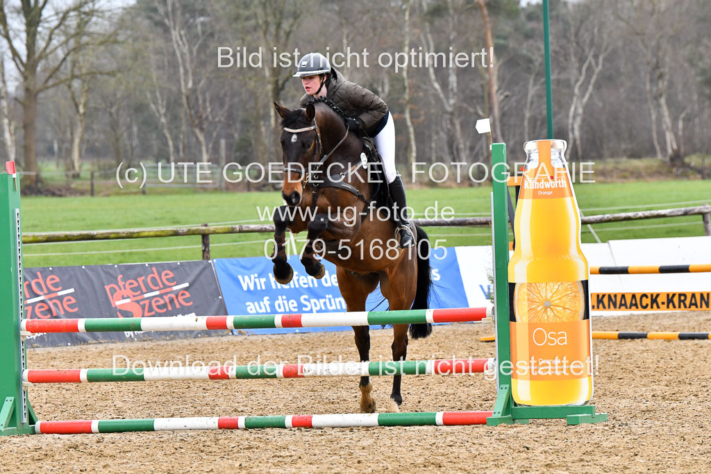 Reitsportzentrum Bremervörde | 070421 Springpferde A+_033 