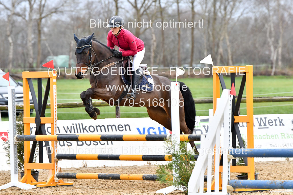 Reitsportzentrum Bremervörde | 070421 Springpferde A+_042 