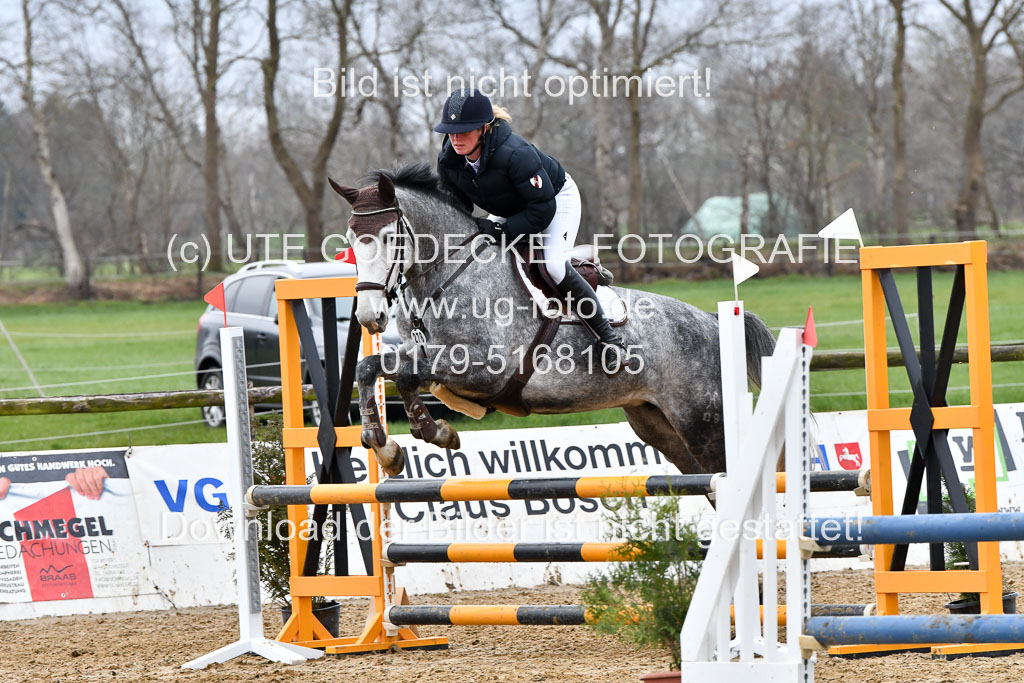 Reitsportzentrum Bremervörde | 070421 Springpferde A+_050