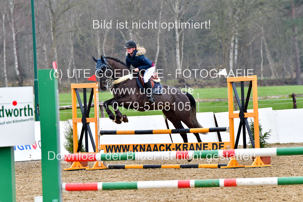 Reitsportzentrum Bremervörde | 070421 Springpferde A+_066 