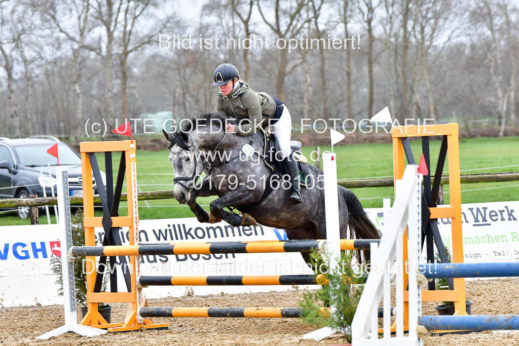 Reitsportzentrum Bremervörde | 070421 Springpferde A+_077
