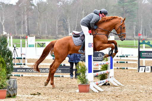 Reitsportzentrum Bremervörde | 070421 Springpferde A+_101 