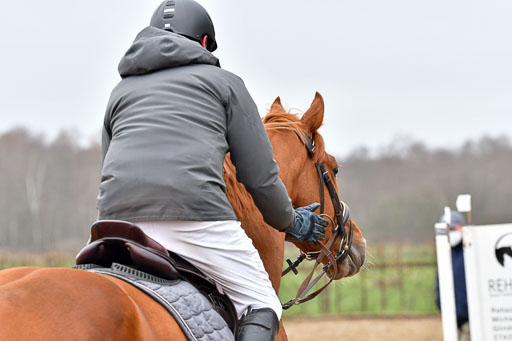 Reitsportzentrum Bremervörde | 070421 Springpferde A+_102 