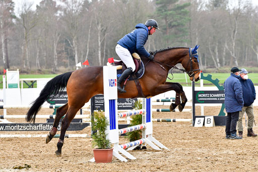 Reitsportzentrum Bremervörde | 070421 Springpferde A+_108 