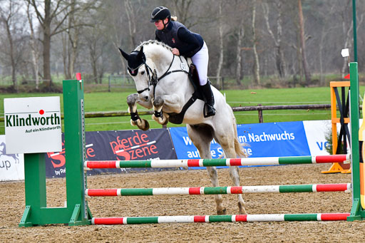 Reitsportzentrum Bremervörde | 070421 Springpferde A+_110 