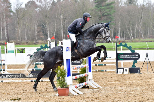 Reitsportzentrum Bremervörde | 070421 Springpferde A+_123 