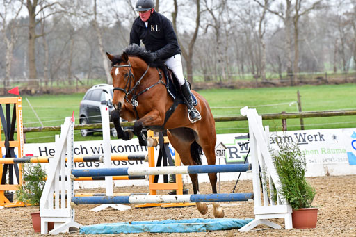 Reitsportzentrum Bremervörde | 070421 Springpferde A+_132 