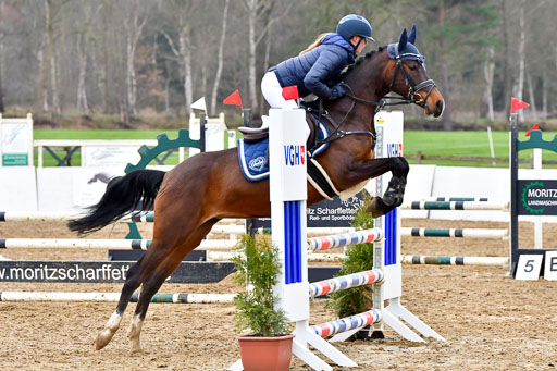 Reitsportzentrum Bremervörde | 070421 Springpferde A+_139 