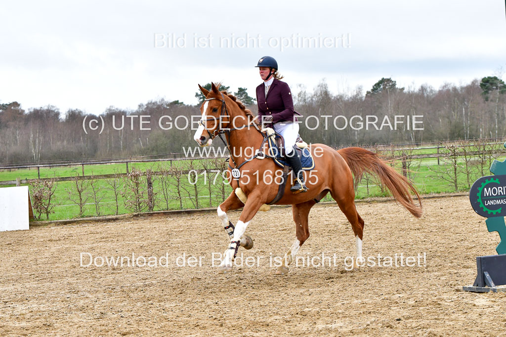 Reitsportzentrum Bremervörde | 070421 Springpferde A++_086