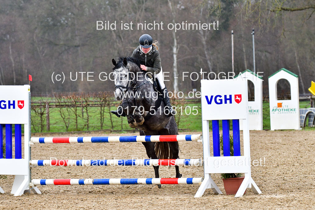 Reitsportzentrum Bremervörde | 070421 Springpferde A++_173 